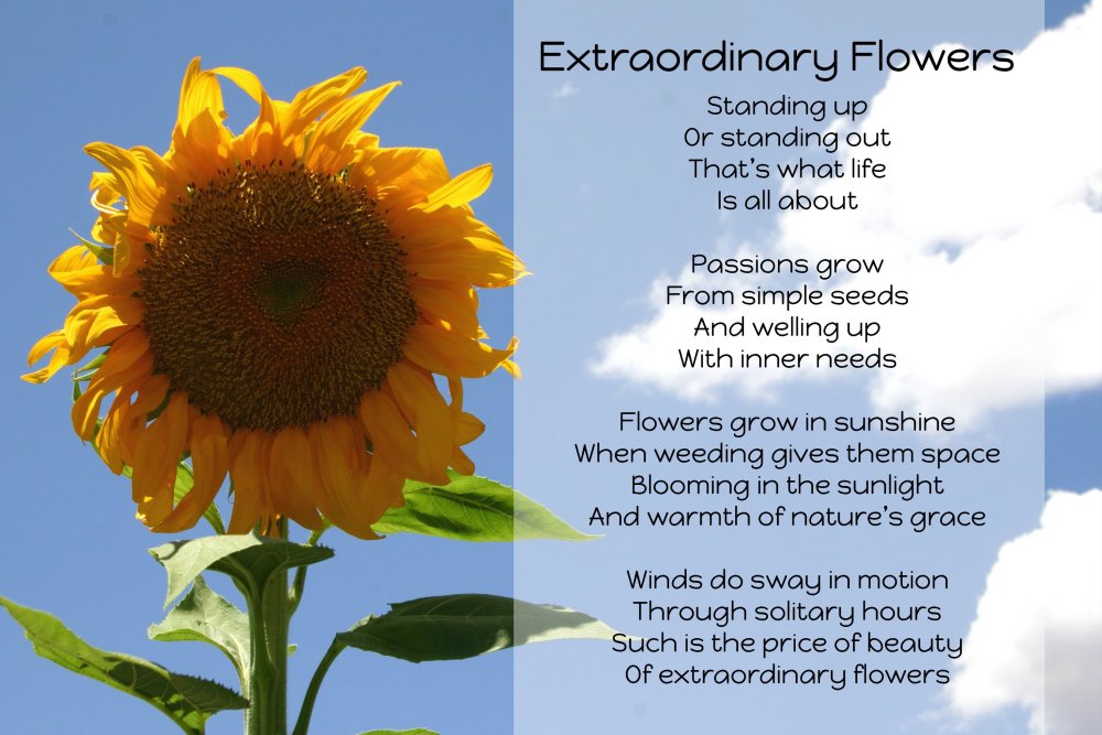 Be a flower монолог. Flowers poem. Flower poems for Kids. Poem about Sunflower. Flower Poetry.