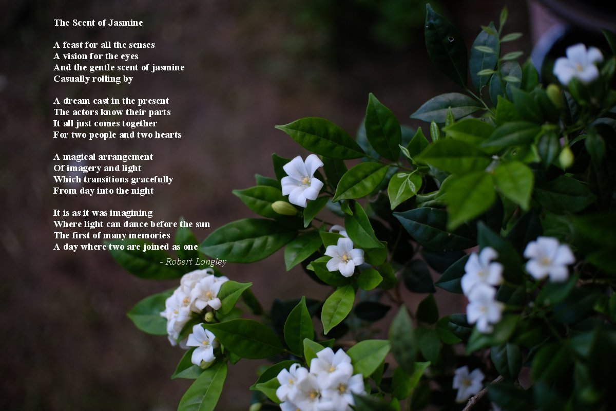 The Scent of Jasmine Sacred Poems inspirational poetry books