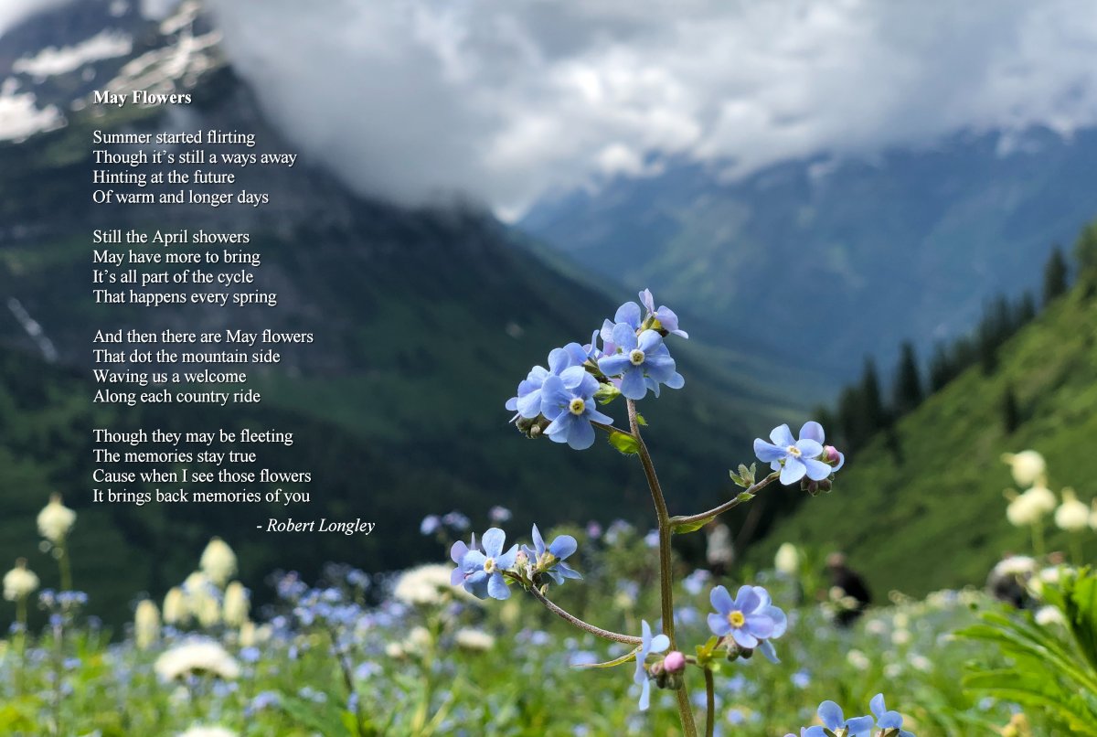 May Flowers Sacred Poems books and art